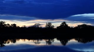 L'Amazonie essentielle ! Sans elle, la Terre ne respirera plus