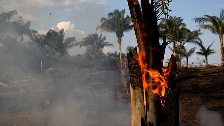 Amazon rainforest burning, Brazil