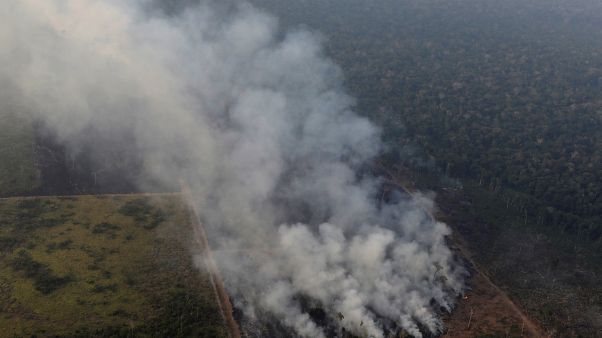 A Amazónia arde, o mundo assiste e os políticos pedem urgência A Amazónia arde, o mundo assiste e os políticos pedem urgência