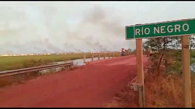 Πυρκαγιές στον Αμαζόνιο: Κόντρα Μακρόν- Μπολσονάρο 