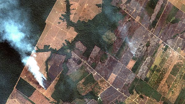 Bolsonaro acusa a Macron de "injerencia" por los incendios en la Amazonia Bolsonaro acusa a Macron de "injerencia" por los incendios en la Amazonia