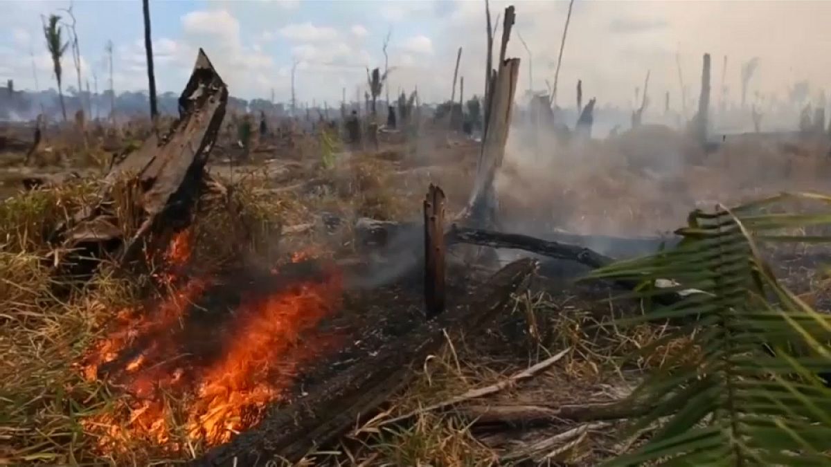 Brazília: megállíthatatlanul pusztít az amazonasi erdőtűz 