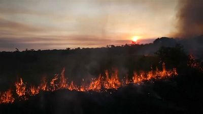 L'impact à grande échelle des feux en Amazonie