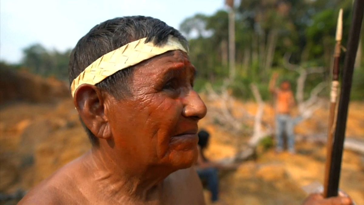 Video: Amazon'un yerli halkı Muralardan yangınlara ve Bolsonaro'ya karşı direniş sözü 