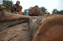 L'Ue preoccupata per l'Amazzonia. Ecco perché