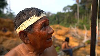 El dolor de las tribus del Amazonas: “Por esta selva, derramaré hasta la última gota de sangre”