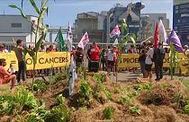 Franciaország: tiltakozás a glifozát tartalmú gyomirtók gyártása ellen