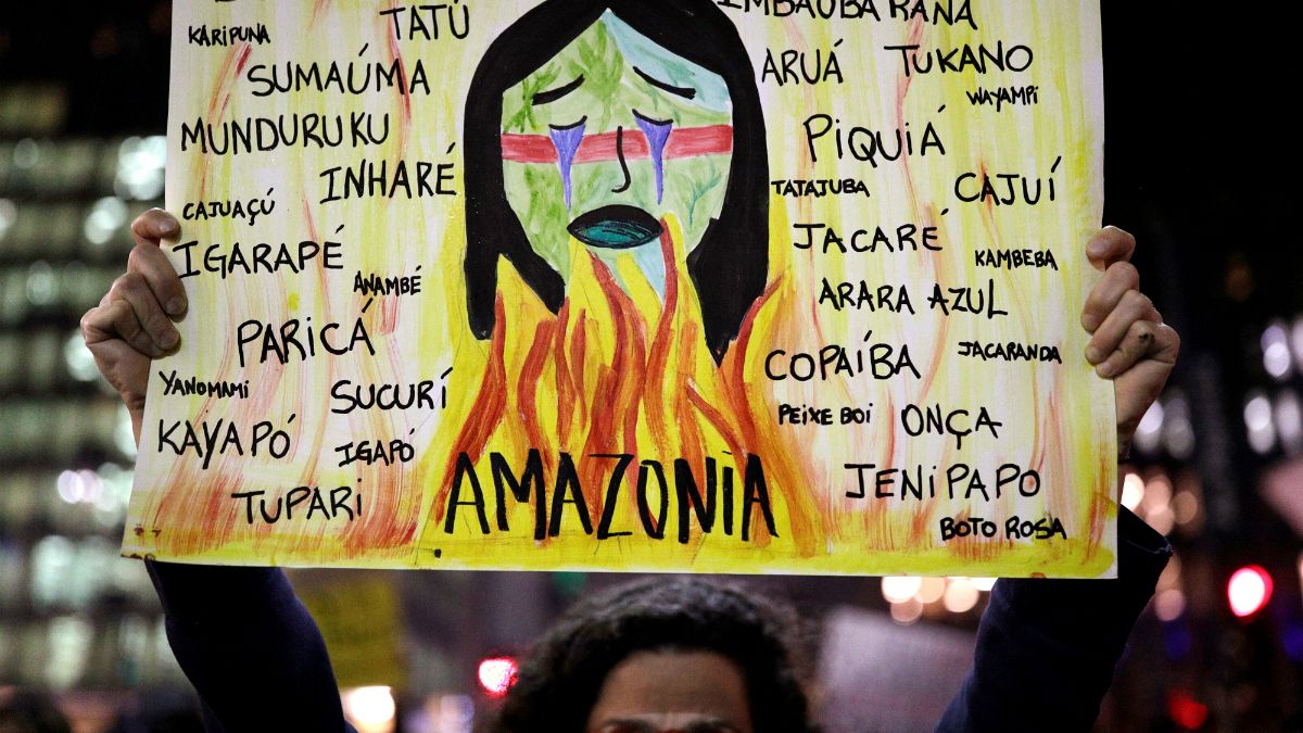 Amazon ormanları yangını: AB ülkelerinden Brezilya'ya yaptırım tehdidi sonrası ordu devrede