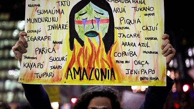 Il fuoco dell'Amazzonia incendia le piazze