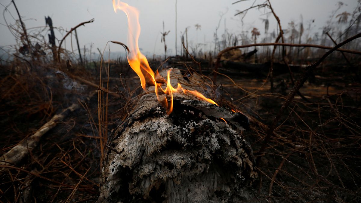 Dünyanın gözü Amazon Ormanları'nda: İki günde bin 663 yangın çıktı