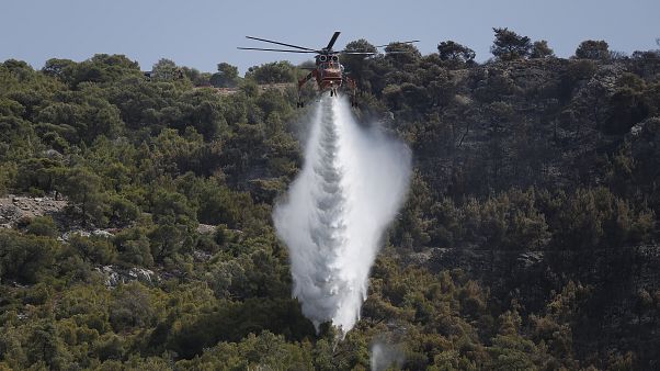 Κατάσβεση δασικής πυρκαγιάς Κατάσβεση δασικής πυρκαγιάς