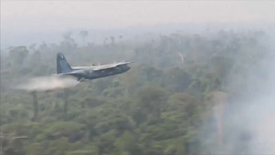Varios estados de Brasil solicitan ayuda militar para combatir los incendios en el Amazonas