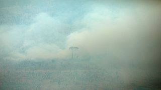 صورة التقطت من الجو لحريق في غابات الأمازون