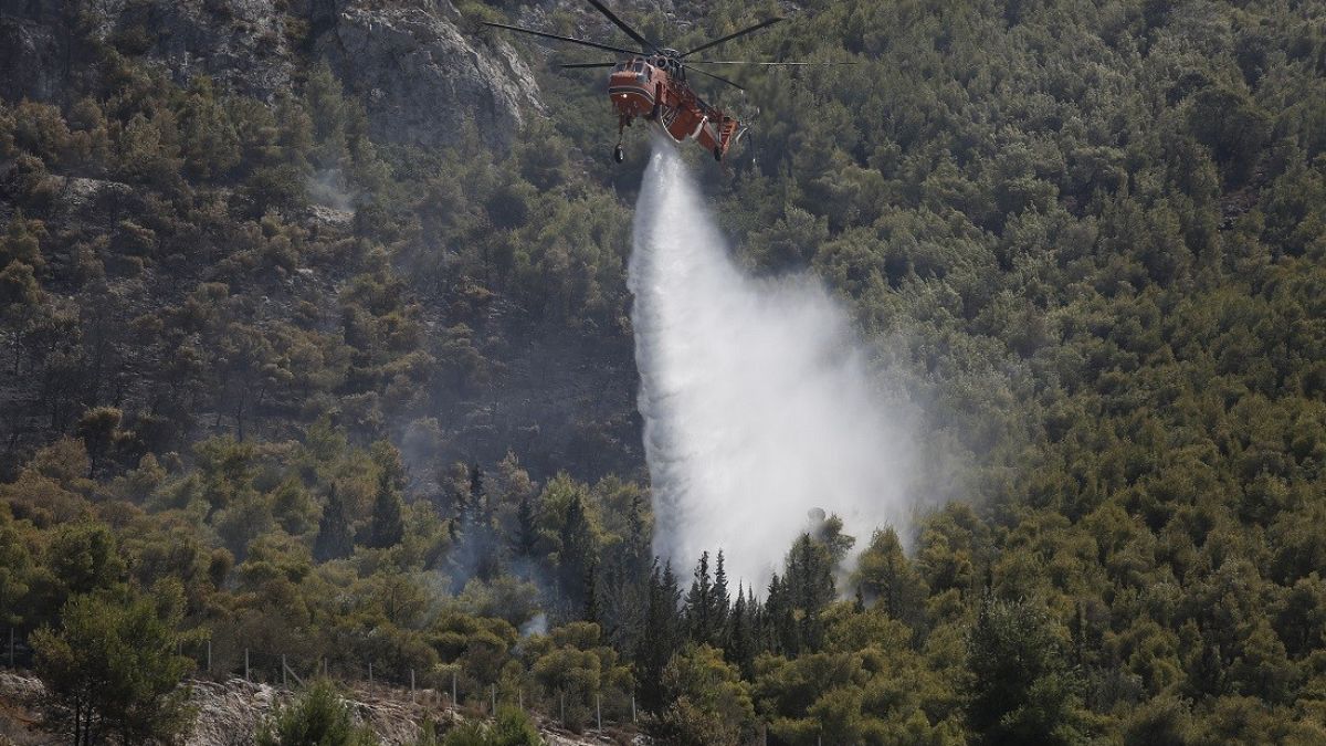 Δυο συλλήψεις για εμπρησμό στην Πελοπόννησο 