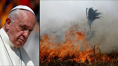 Sumo Pontífice apela à união internacional na proteção dos pulmões florestais
