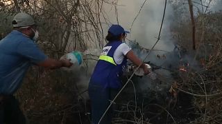 Pope Francis has asked people to pray that wildfires in the Amazon will be brought under control