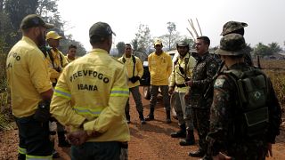 Így mentik a brazil katonák az esőerdő állatait az erdőtűzből