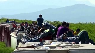 Migrantes víctimas de "la bestia", el tren que atraviesa México de sur a norte