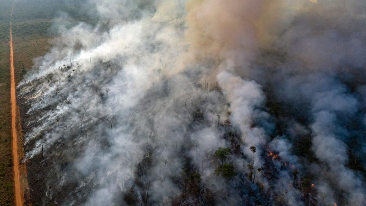An aerial view of forest fire of the Amazon taken with a drone is seen from an Indigenous territory in the state of Mato Grosso, in Brazil, August 23, 2019.