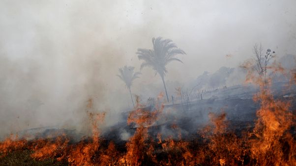 رئة العالم تحترق فلماذا تثير حرائق الأمازون أزمة للبرازيل