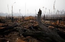 Azonnali, 20 millió eurós segélyt nyújtanak az esőerdőt pusztító tűz megfékezésére a G7-ek