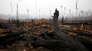 Azonnali, 20 millió eurós segélyt nyújtanak az esőerdőt pusztító tűz megfékezésére a G7-ek
