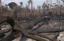 Pouco militar para tanto fogo