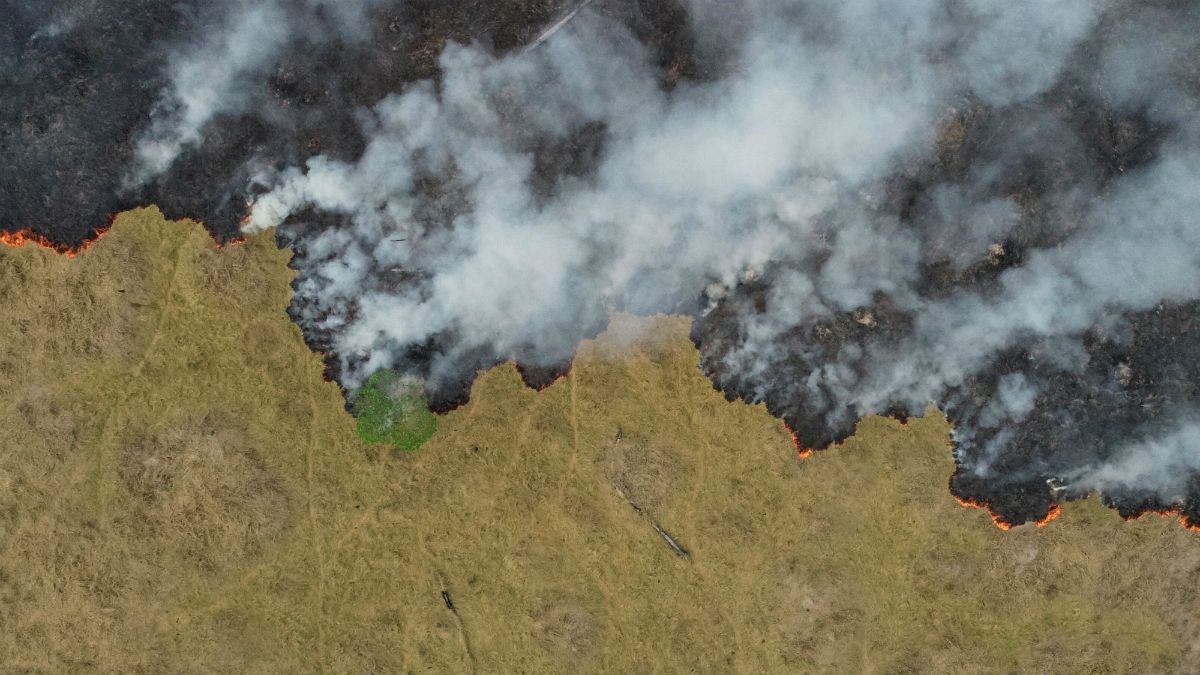 برزیل کمک ۲۰ میلیون دلاری گروه‌۷ برای کنترل آتش سوزی آمازون را رد کرد