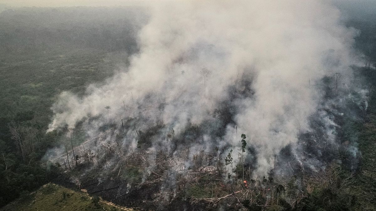 Kanada Brezilya'ya Amazonlar için 15 milyon dolar ve yangın söndürme uçakları gönderecek