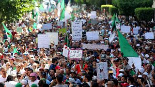 الجيش الجزائري يدعو لتنظيم انتخابات رئاسية "في أقرب وقت" رغم الرفض الشعبي لها