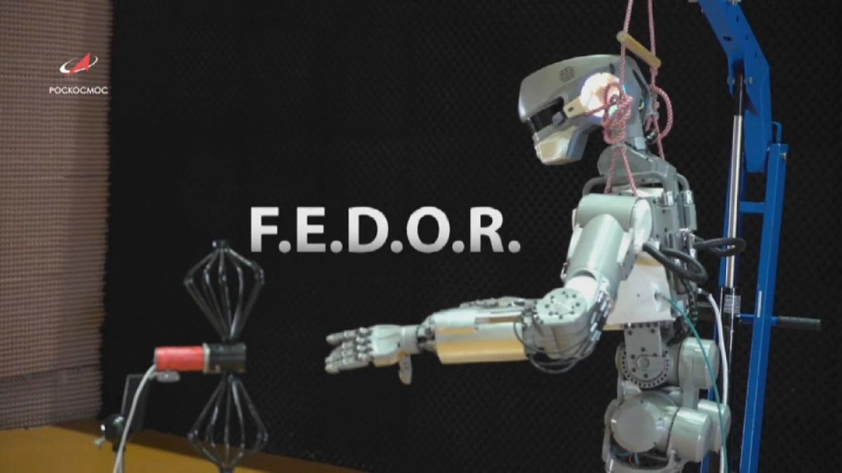 Кто вы, робот Федор?