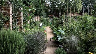 King Henry's Walk Garden