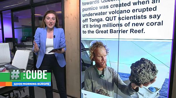 How a volcano could help Australia's Great Barrier Reef How a volcano could help Australia's Great Barrier Reef