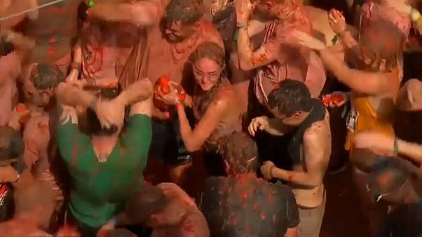 Tudo a postos para mais uma Tomatina Tudo a postos para mais uma Tomatina