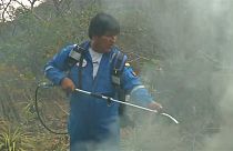 الرئيس ايفو موراليس يساهم في اطفاء حرائق الغابات