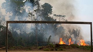 موافقت مشروط برزیل با کمک ۲۰ میلیون دلاری گروه ۷ برای نجات آمازون