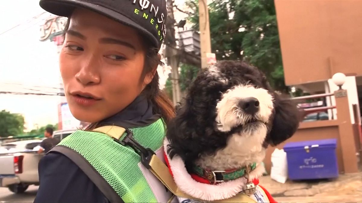 Egy utcaseprő a hátán hordozza kutyáját