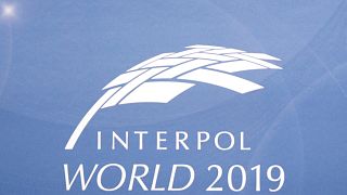 Interpol, Freedom of Movement and EU Data Protection Laws - Policing the World’s Police ǀ View