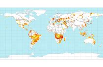 Nem lehet összehasonlítani az amazonasi és az afrikai erdőtüzeket