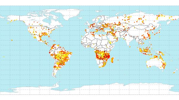 Nem lehet összehasonlítani az amazonasi és az afrikai erdőtüzeket Nem lehet összehasonlítani az amazonasi és az afrikai erdőtüzeket