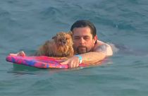 شاهد: كلاب وأصحابها في سباق للسباحة