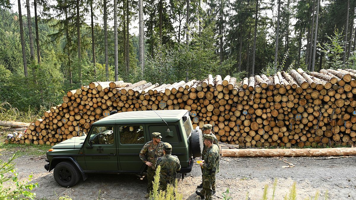آلية تابعة للجيش الألماني في غابة من منطقة ساكسونيا الواقعة شرق ألمانيا 