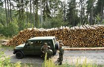 آلية تابعة للجيش الألماني في غابة من منطقة ساكسونيا الواقعة شرق ألمانيا