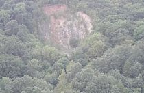 En Hongrie, des habitants se battent pour sauver leurs arbres