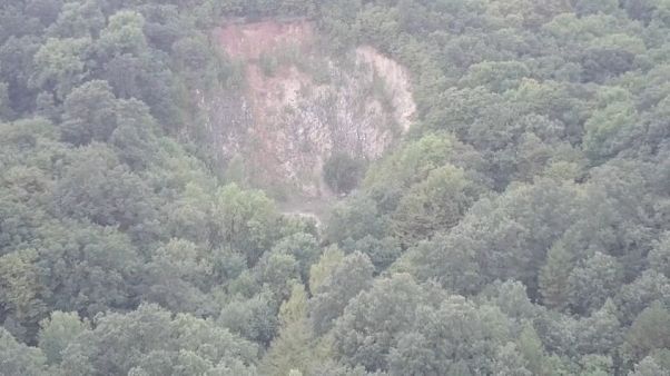 Ein Wald mit 15.000 Bäumen soll verschwinden - zugunsten eines Steinbruchs Ein Wald mit 15.000 Bäumen soll verschwinden - zugunsten eines Steinbruchs