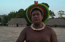 La desertificazione dell'Amazzonia