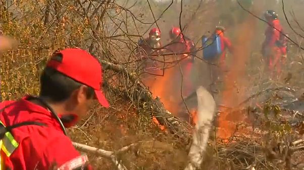 Batalla interminable contra el fuego en Bolivia Batalla interminable contra el fuego en Bolivia