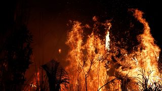 Hatvan napos tűzgyújtási tilalmat rendelt el Bolsonaro