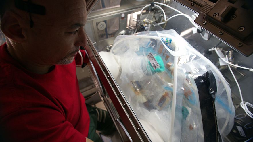 Dal nostro inviato nella Stazione Spaziale Internazionale