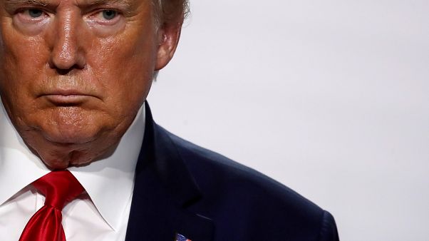 Trump engedélyezné a fakivágást a világ legnagyobb mérsékelt övi esőerdejében Trump engedélyezné a fakivágást a világ legnagyobb mérsékelt övi esőerdejében